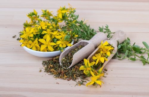 Here Are The Major Benefits Of Using Herbal Medicine.