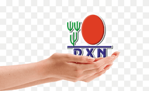 Why DXN Is The Right Choice?